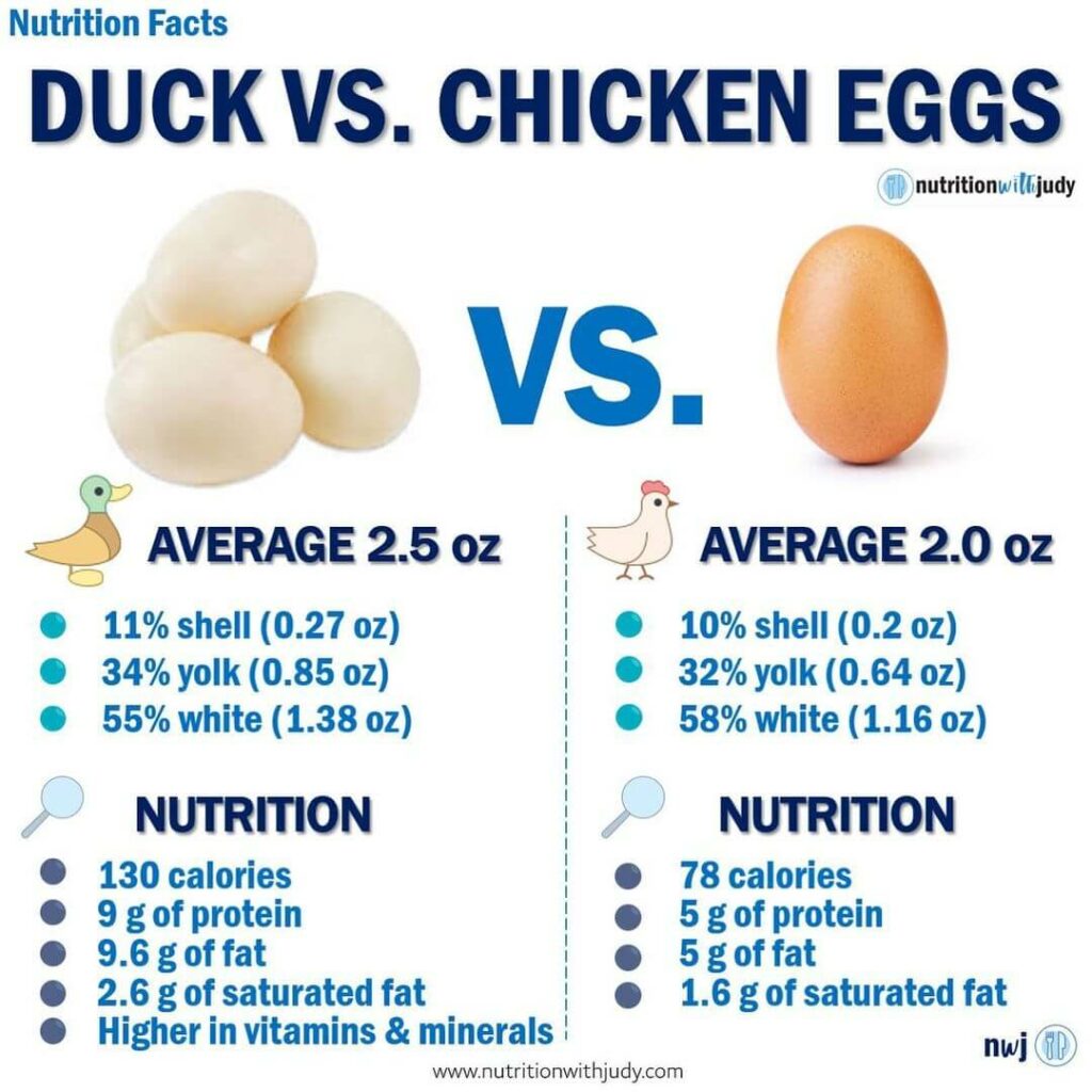 duck vs chicken eggs nutrition