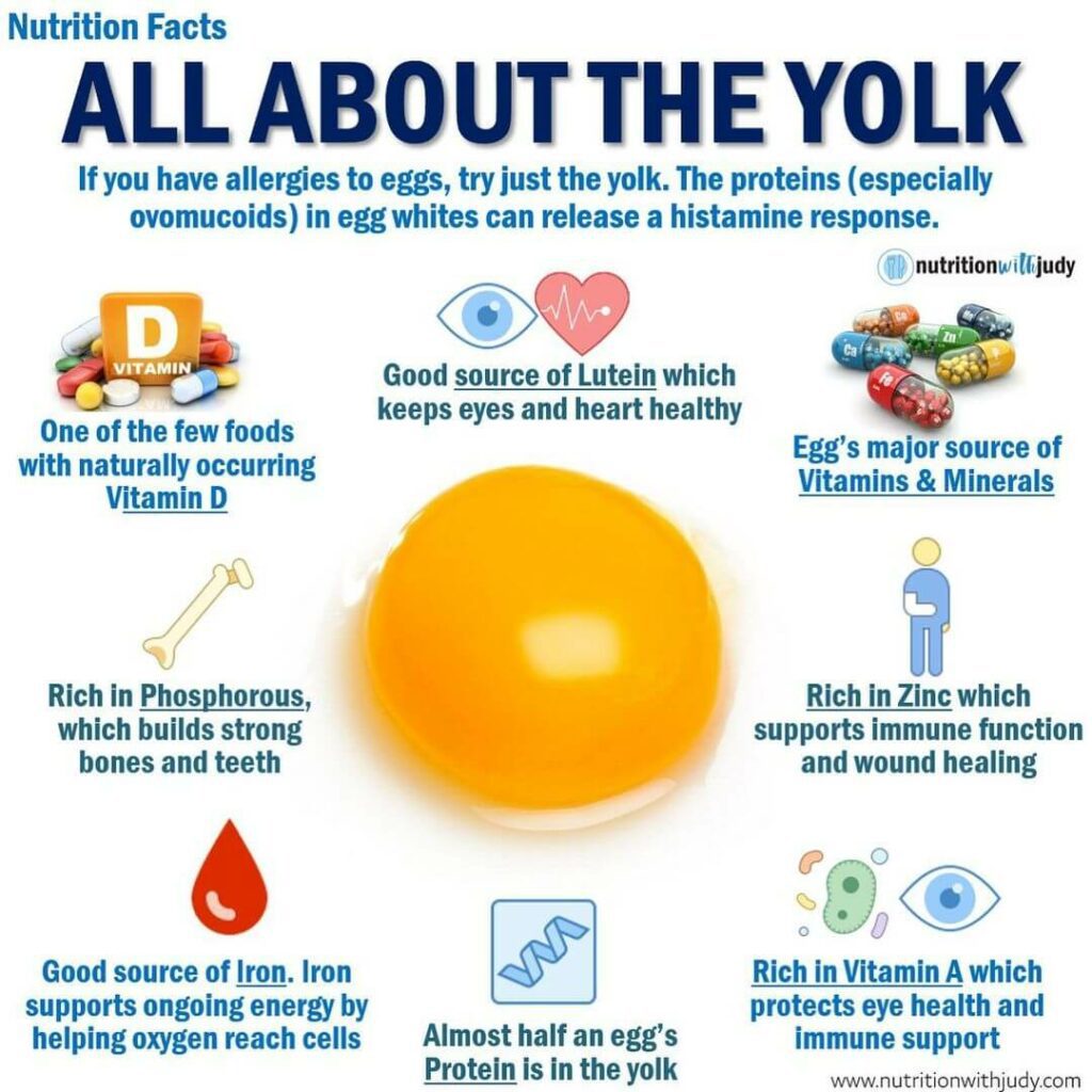 egg yolks nutrition