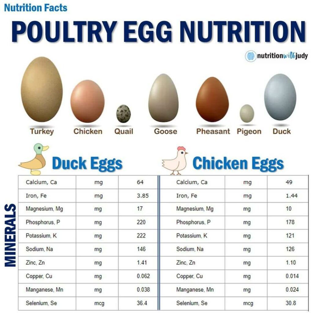 poultry egg nutrition comparison