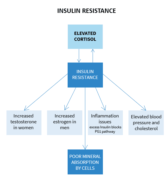 Insulin Resistance flow chart