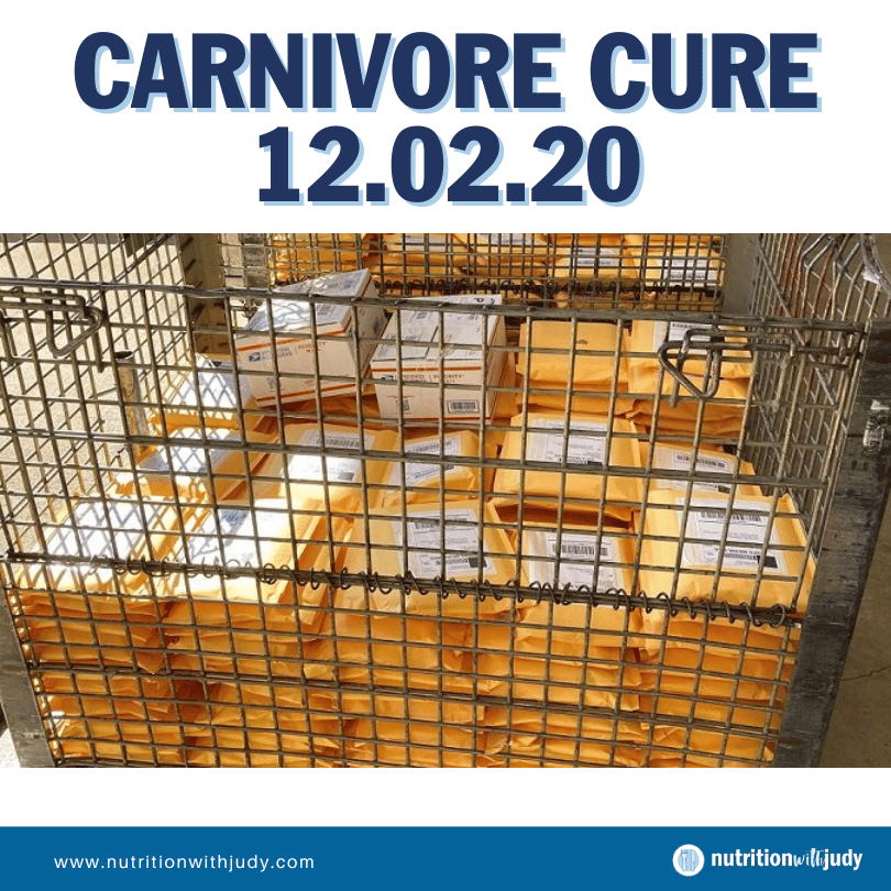 carnivore cure launch