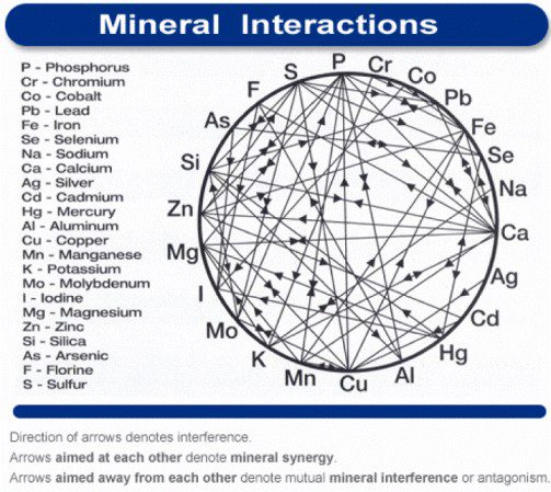 Mineral Interactions