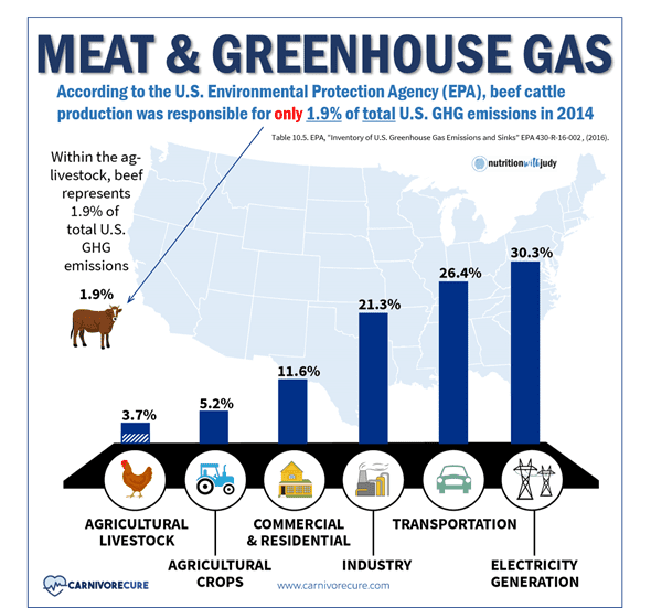 Meat and Greenhouse Gas Chart