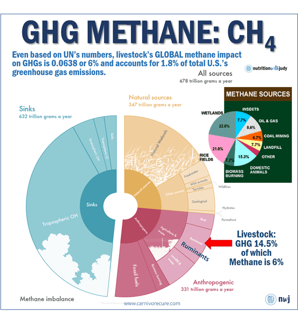GHF Methane: CH4 - Pie Chart