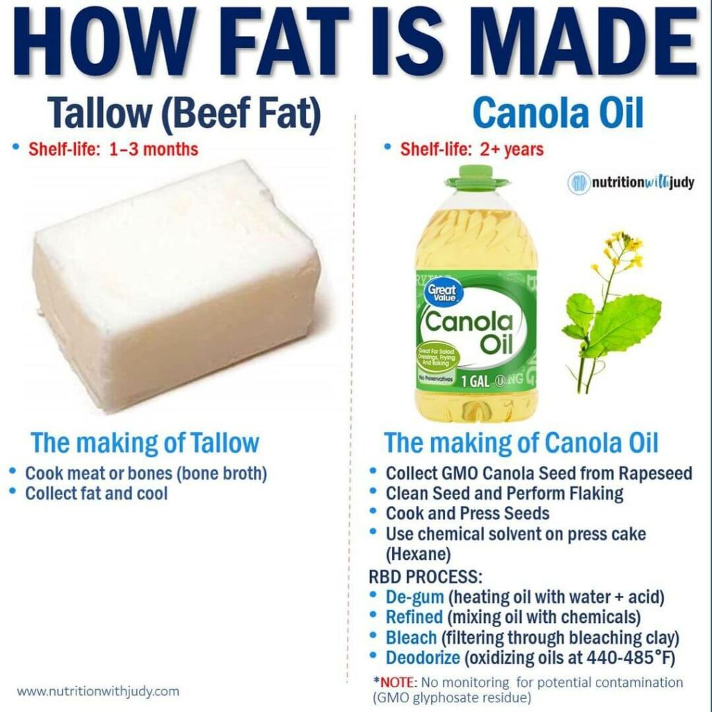 How fat is made comparison between beef tallow and canola oil