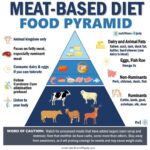 The Meat-Based Diet - Food Pyramid