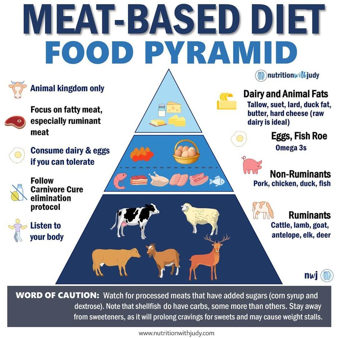 Microblog: Meat-Based Diet - The Food Pyramid - Nutrition With Judy