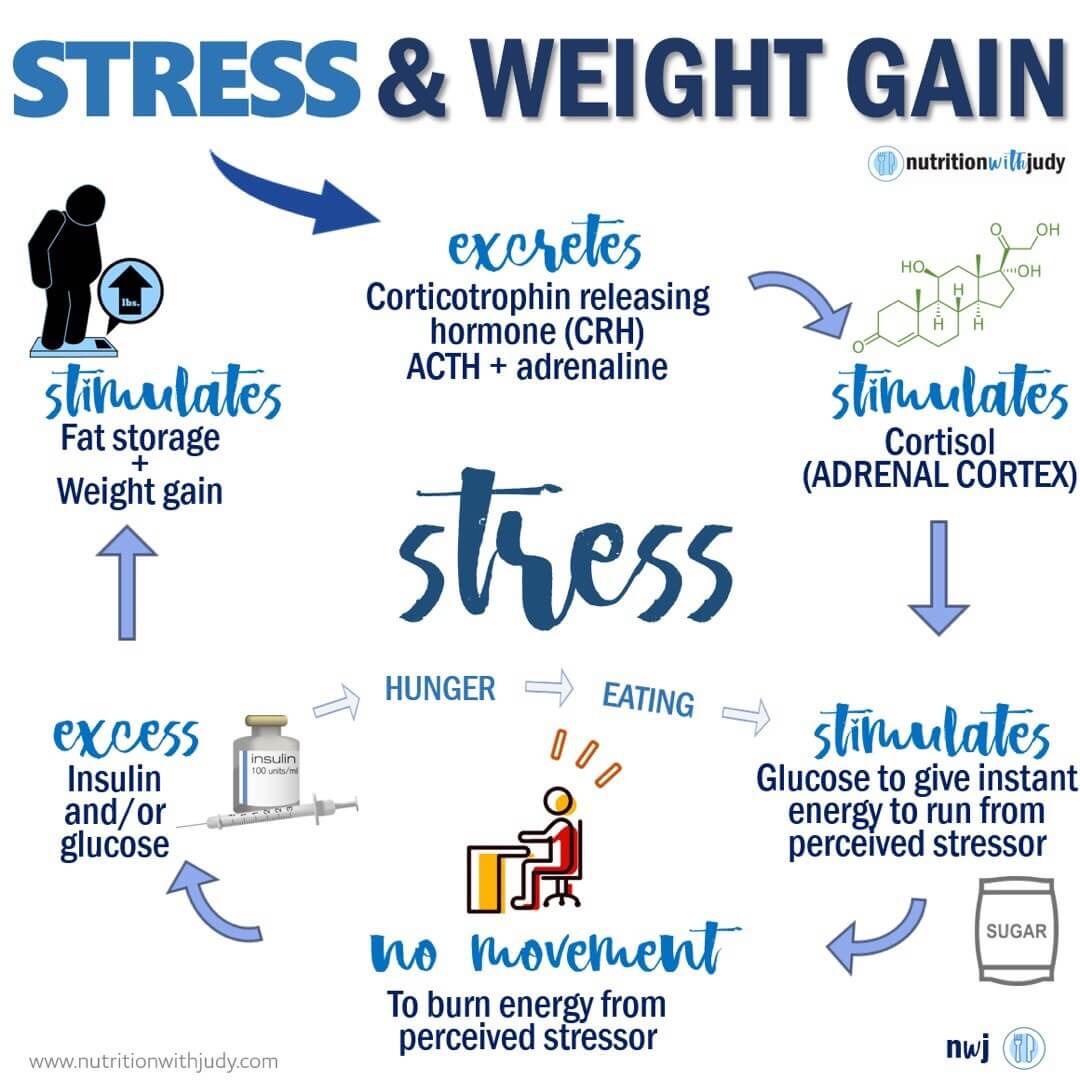 Microblog: The Stress and Weight Gain - Nutrition With Judy