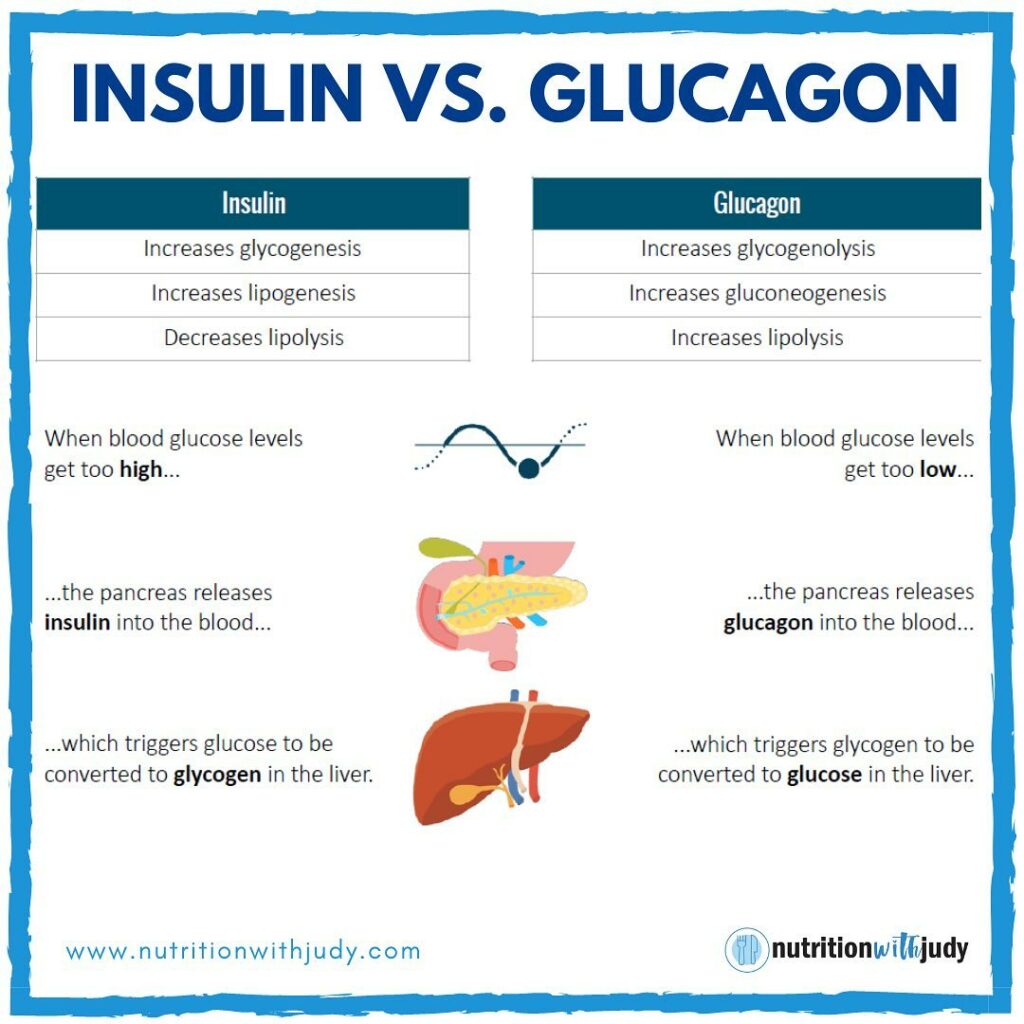 Insulin and glucagon comparison 
