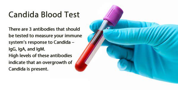 candida blood test