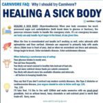 Why I Should Try Carnivore - Healing a Sick Body