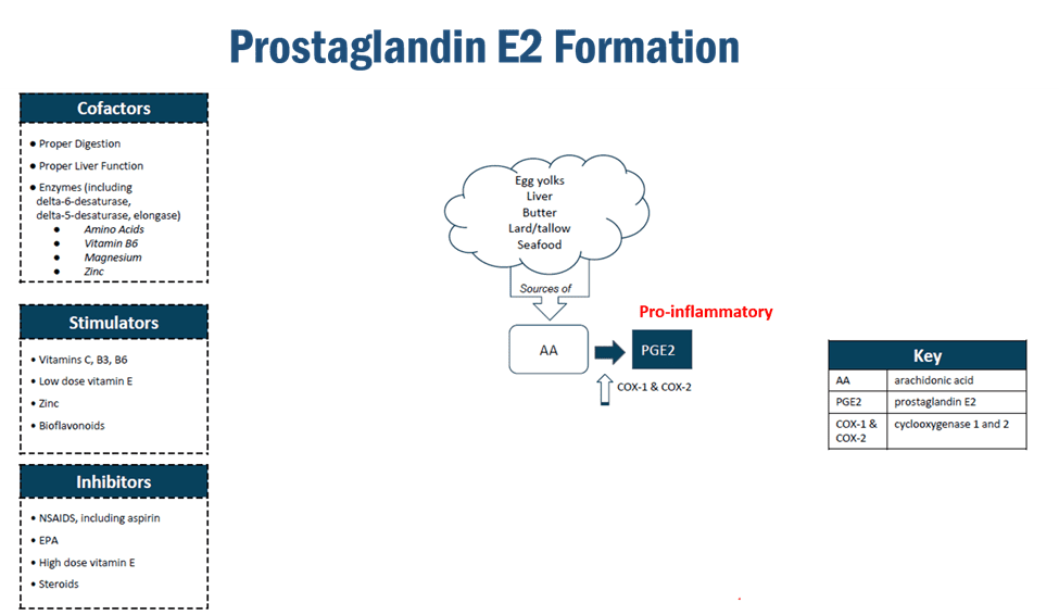 Creation of Prostaglandins - Prostaglandins E2 Formation