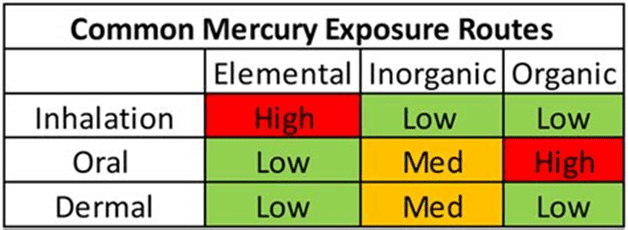 Common Mercury Exposure Routes Table