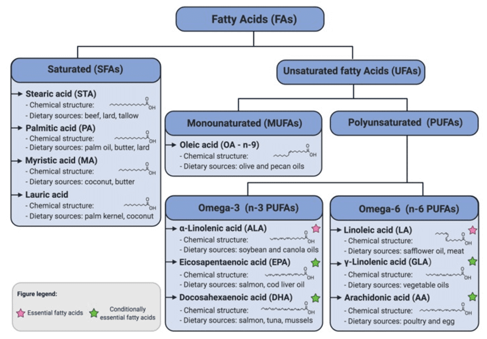 Fatty Acids Flow Chart