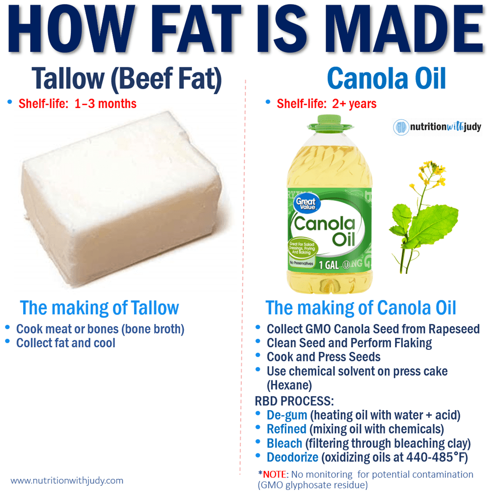 How Fat Is Made - Tallow and Canola Oil Comparison