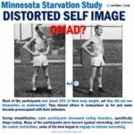 Minnesota starvation study distorted self image eating disorder OMAD