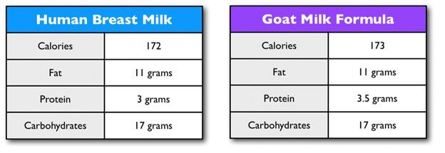 Human breast milk and goat milk formula comparison