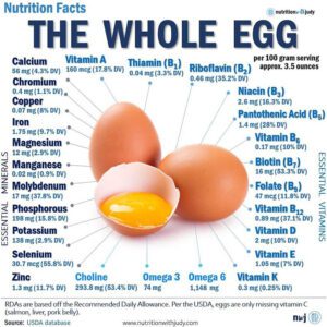 carnivore diet egg gut health