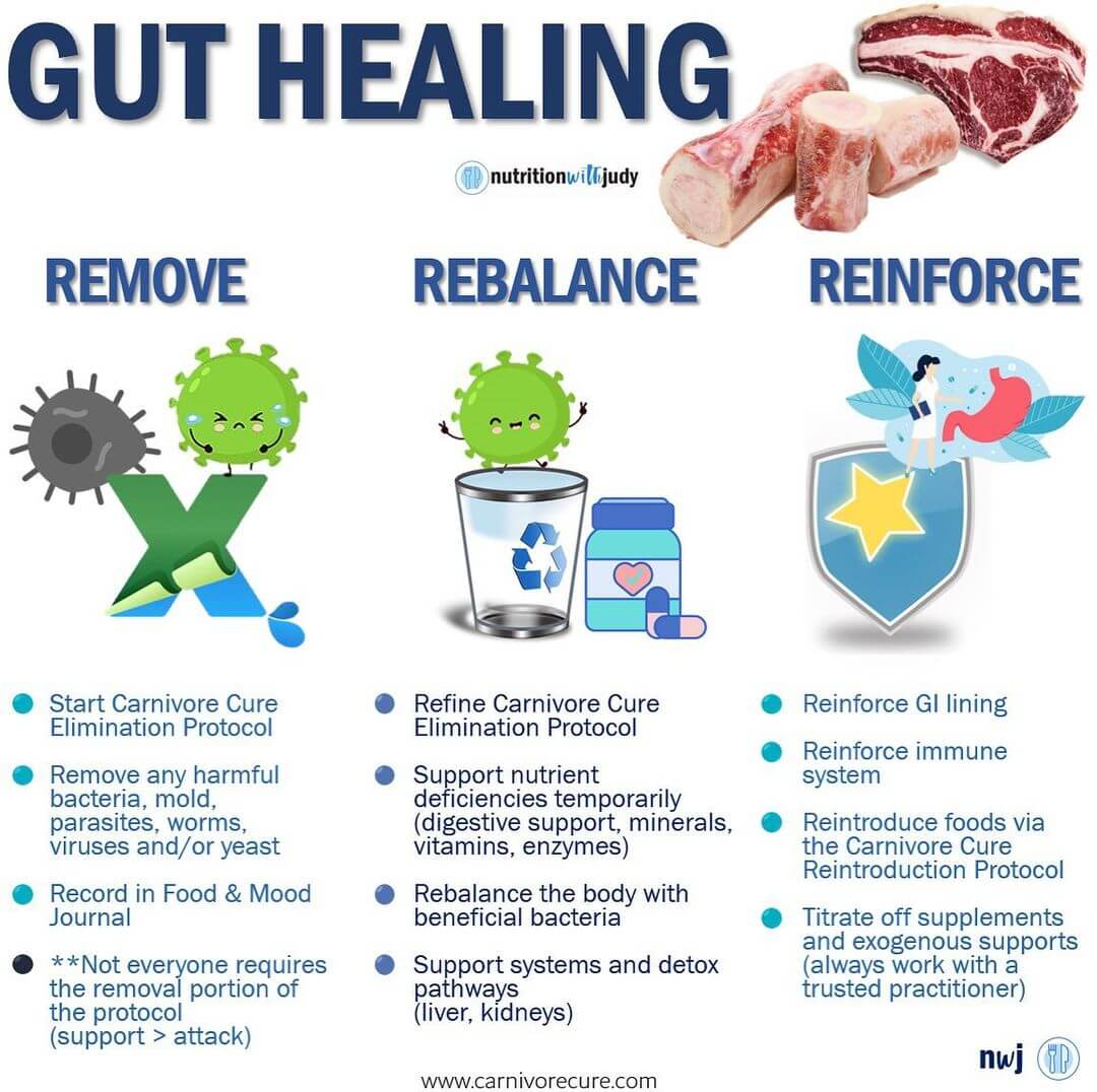 carnivore diet for gut healing