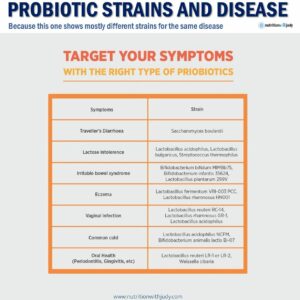 carnivore diet probiotics gut health
