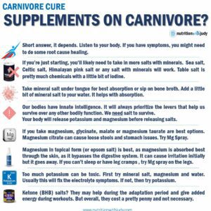 carnivore diet supplements gut health