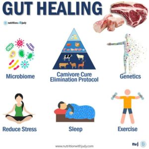 gut healing supports