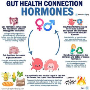 hormones gut health