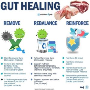 carnivore diet gut healing for autoimmune