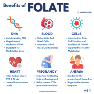 benefits of folate