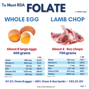 carnivore diet folate