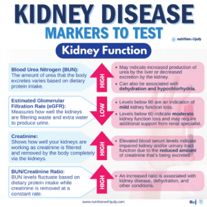 blood test for kidney function