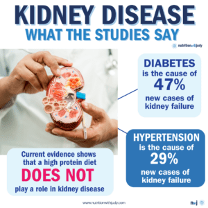 high protein and kidneys