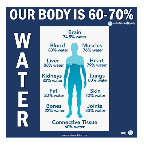 body water content