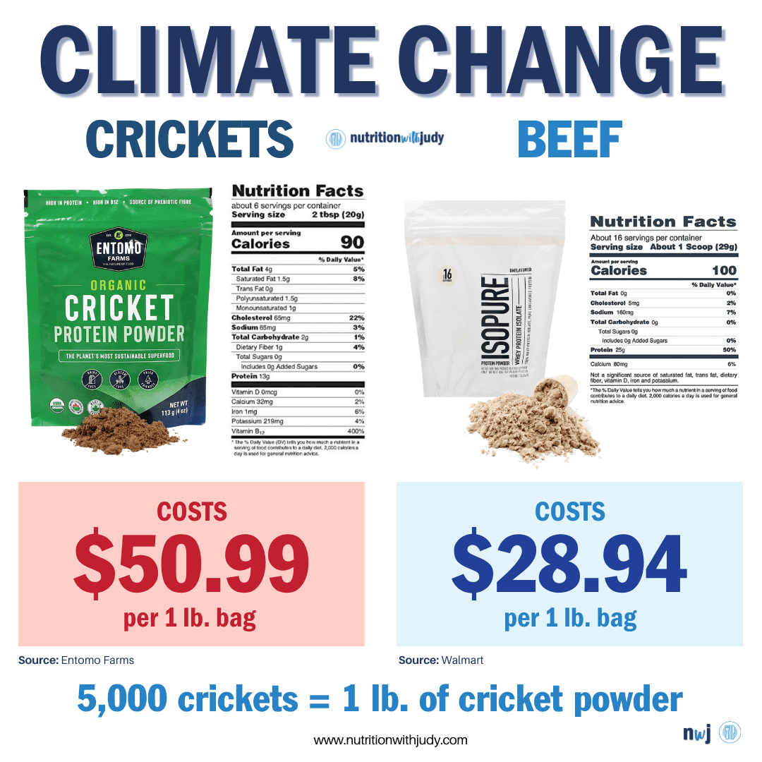 cricket protein cost
