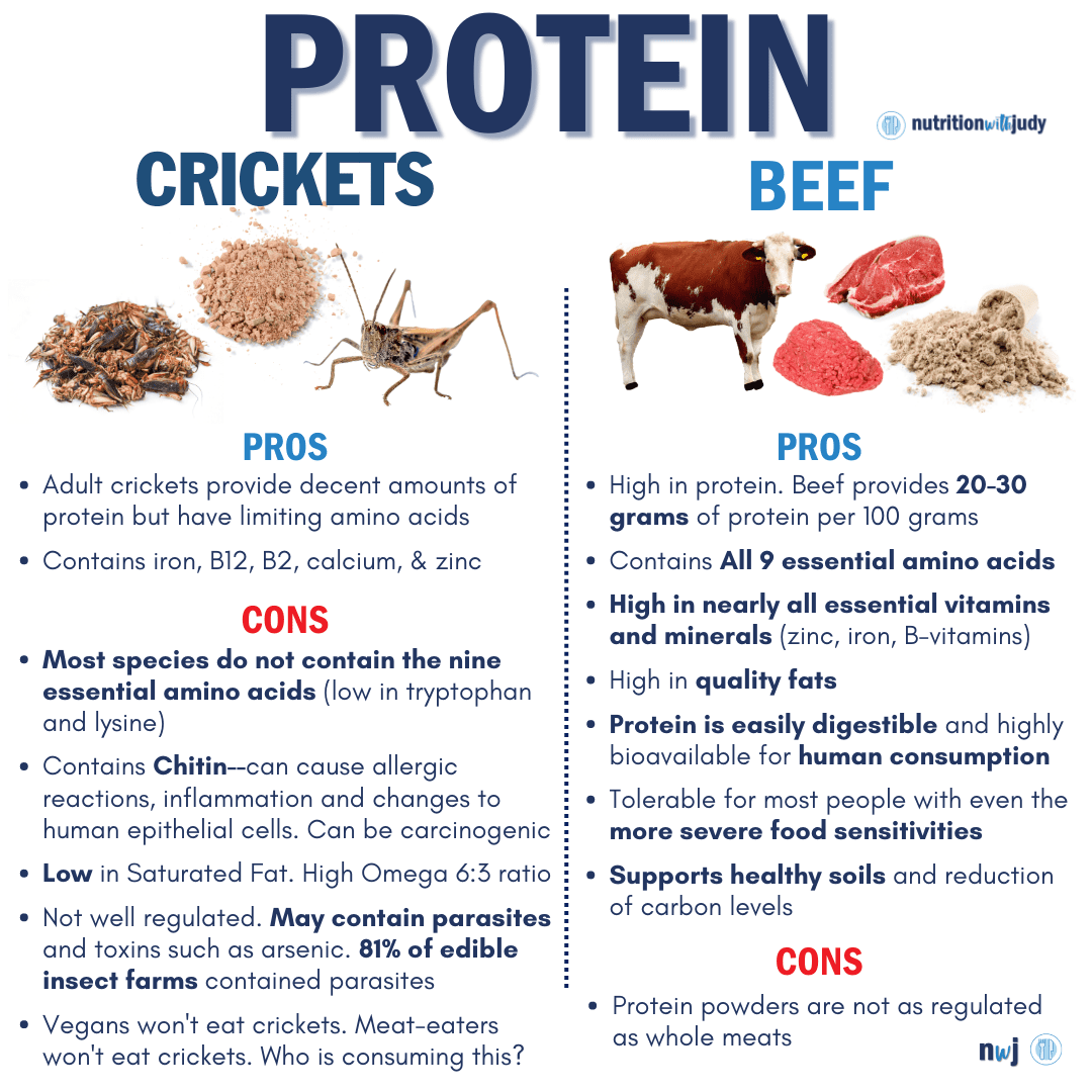 crickets vs beef protein nutrition