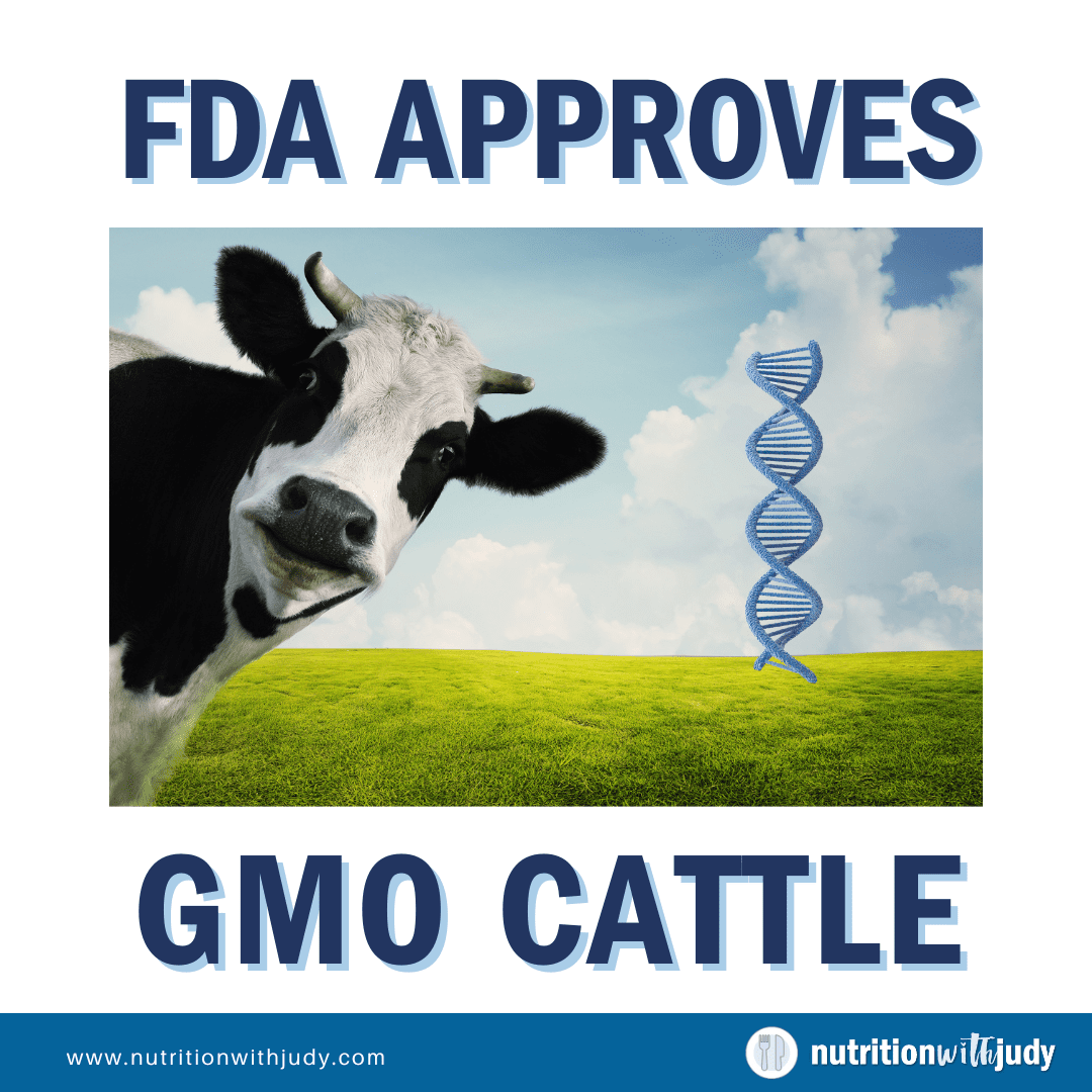 fda approves gmo cattle