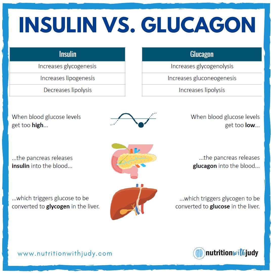 insulin vs glucagon