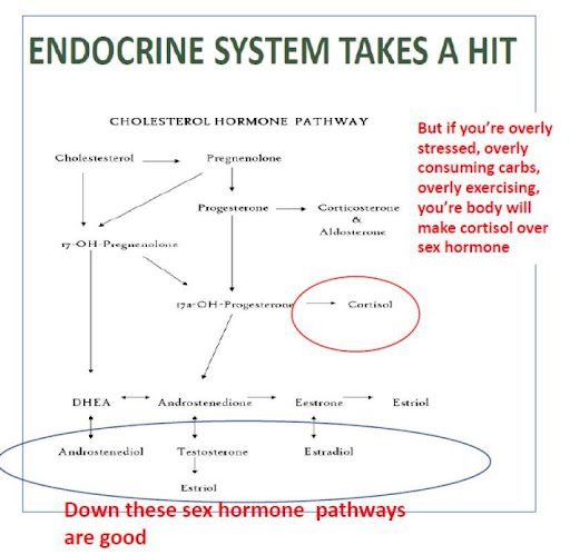 minerals and endocrine system