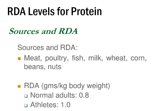 protein rda