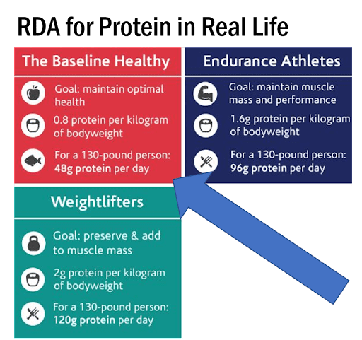 rda protein needs