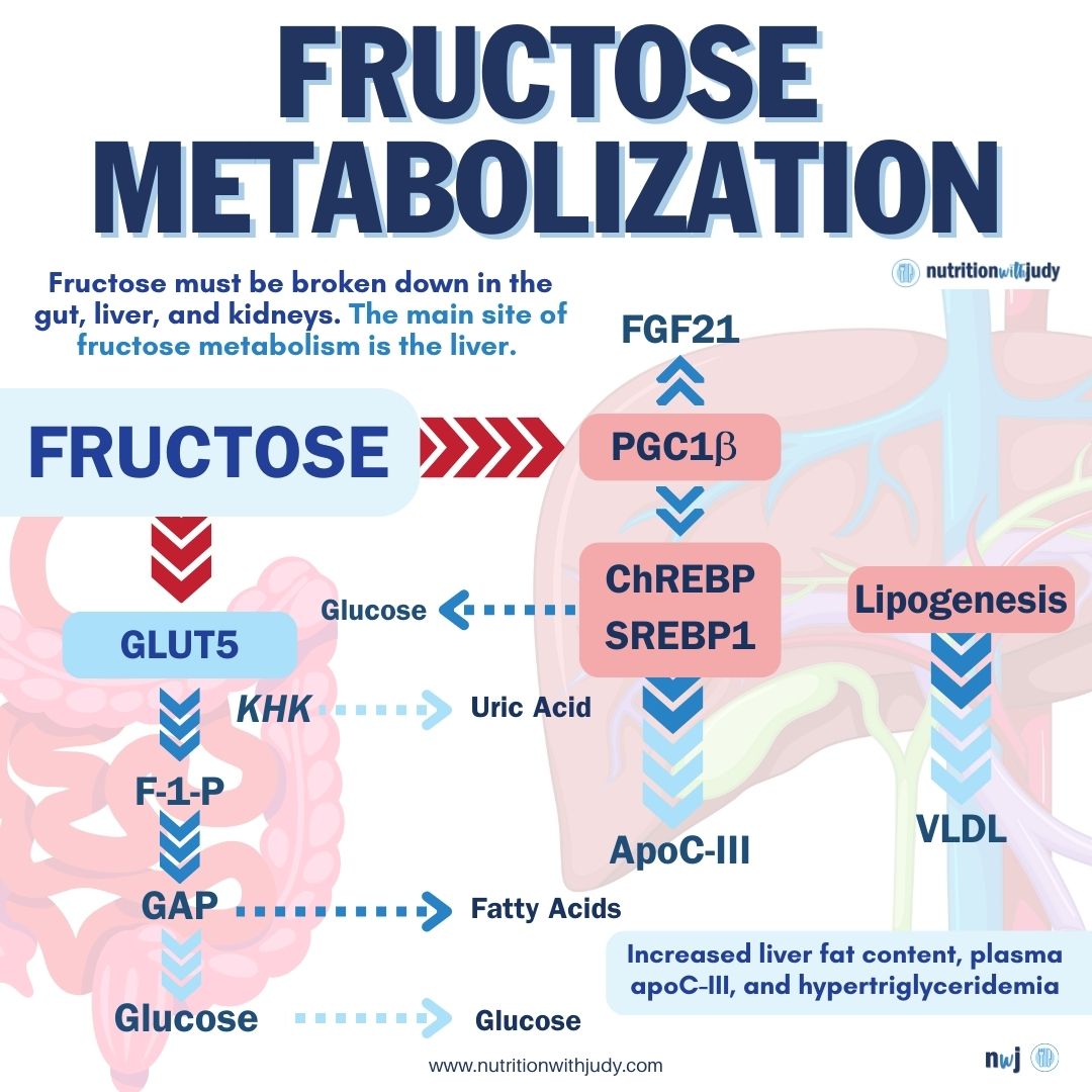 fructose metabolization