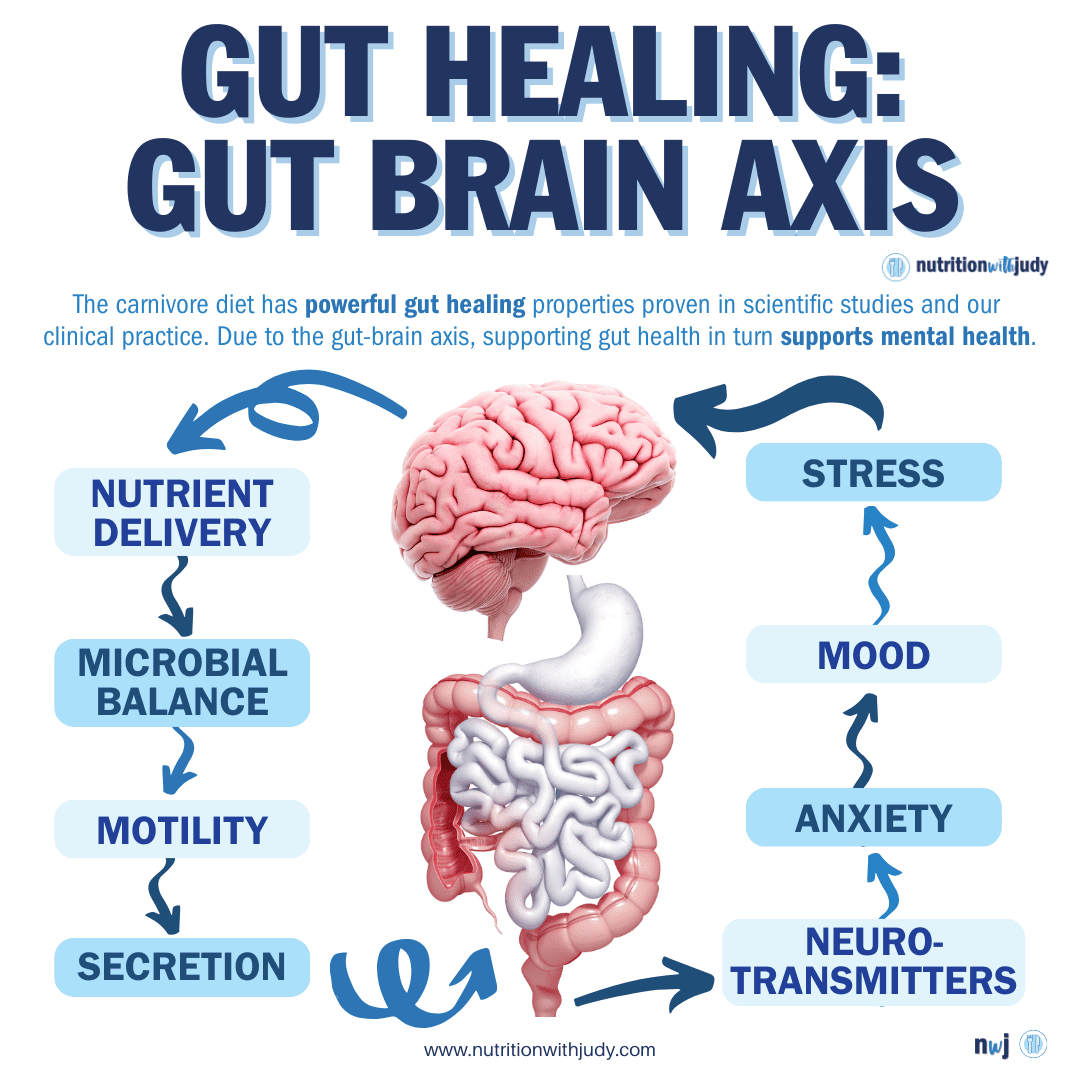 carnivore diet gut brain axis mental health