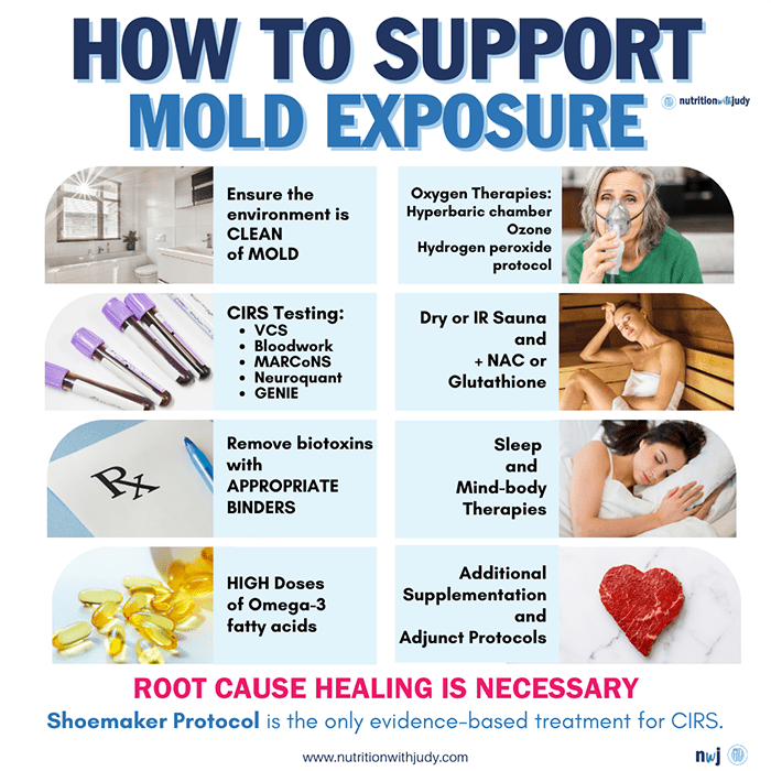 how to support mold exposure