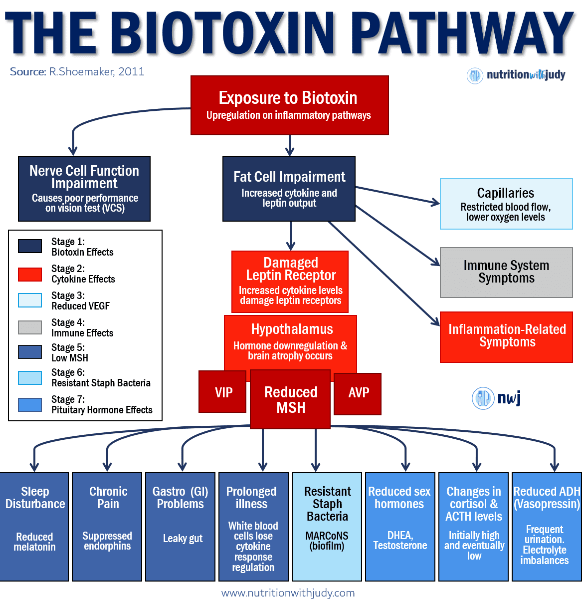 mold illness biotoxin pathway