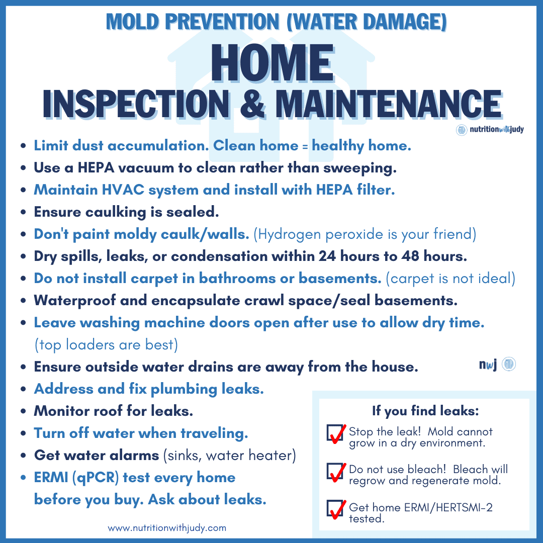 mold illness home inspection