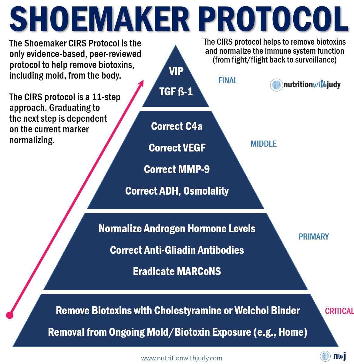 mold illness treatment shoemaker protocol