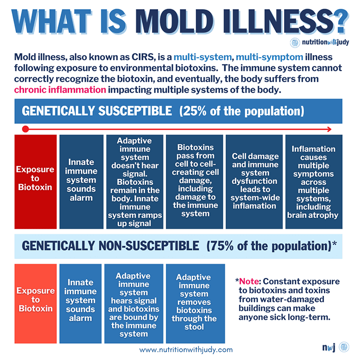 mold illness