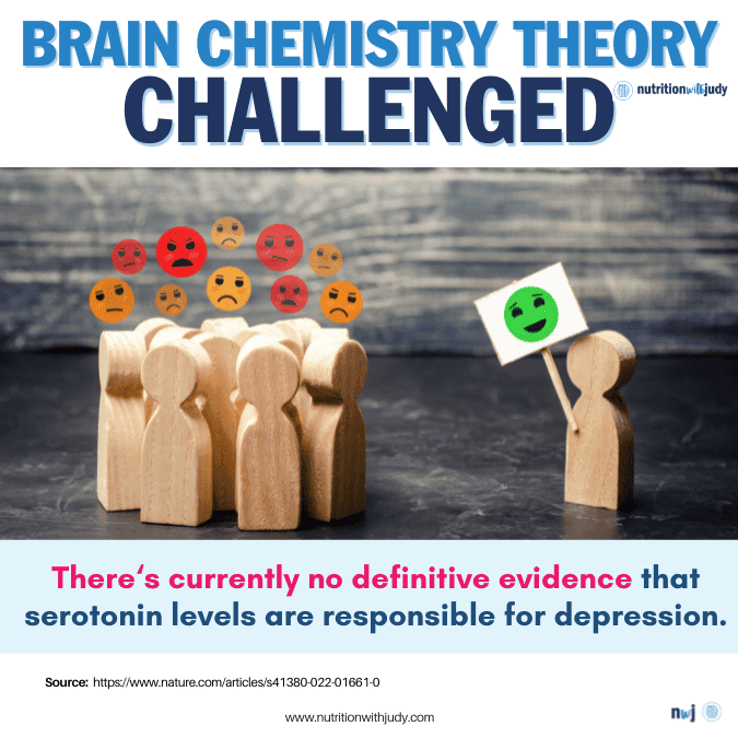 brain chemistry theory depression