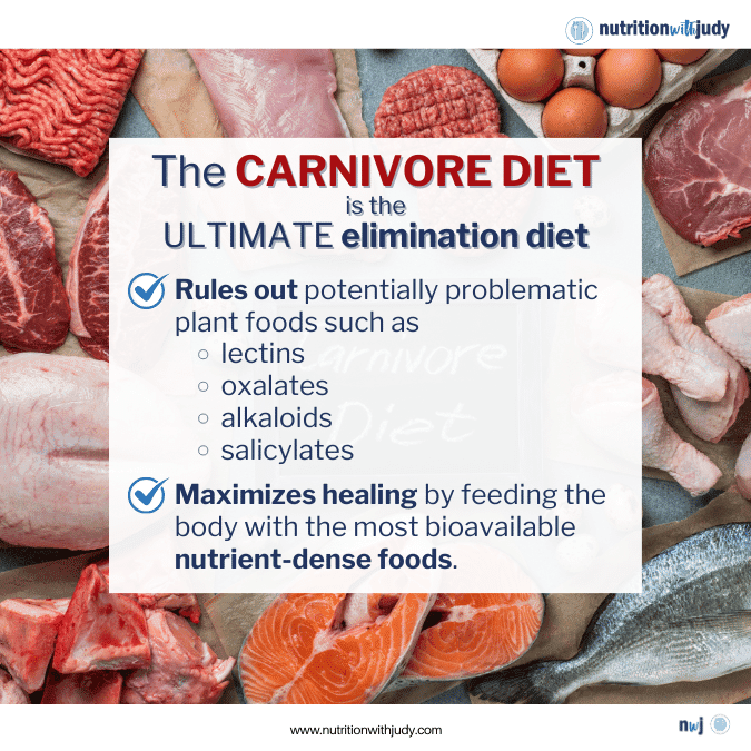 carnivore diet elimination diet leaky gut