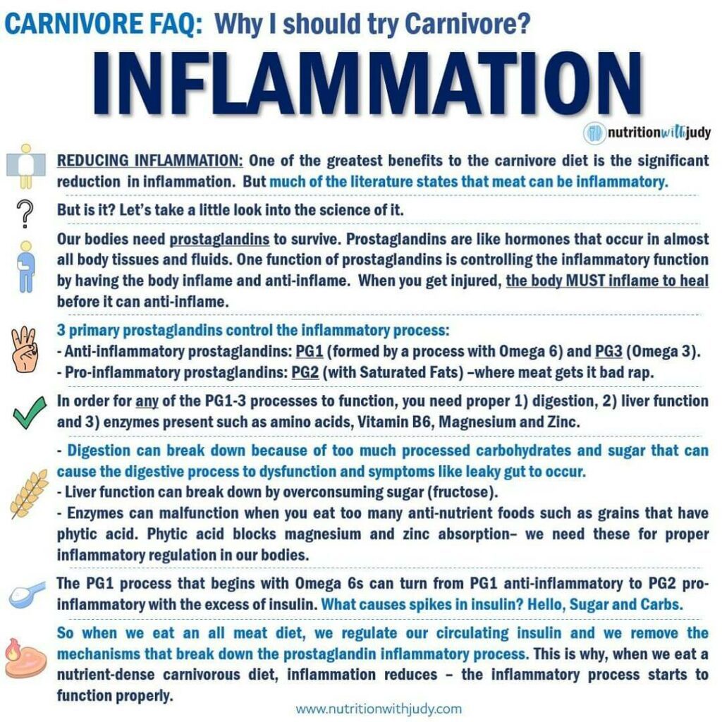 carnivore diet inflammation
